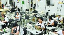 União Europeia investe R$ 1,2 mi em cooperativa União Europeia investe R$ 1,2 mi em cooperativa