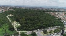 Polícia Militar realiza treinamento ambiental em Betim com simulação de resgate em área de mata