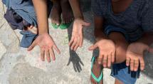 Dia Mundial contra o Trabalho Infantil mobiliza população em Betim nesta sexta-feira (12)