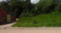 Rua Rua