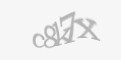 Código de segurança