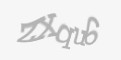 Código de segurança
